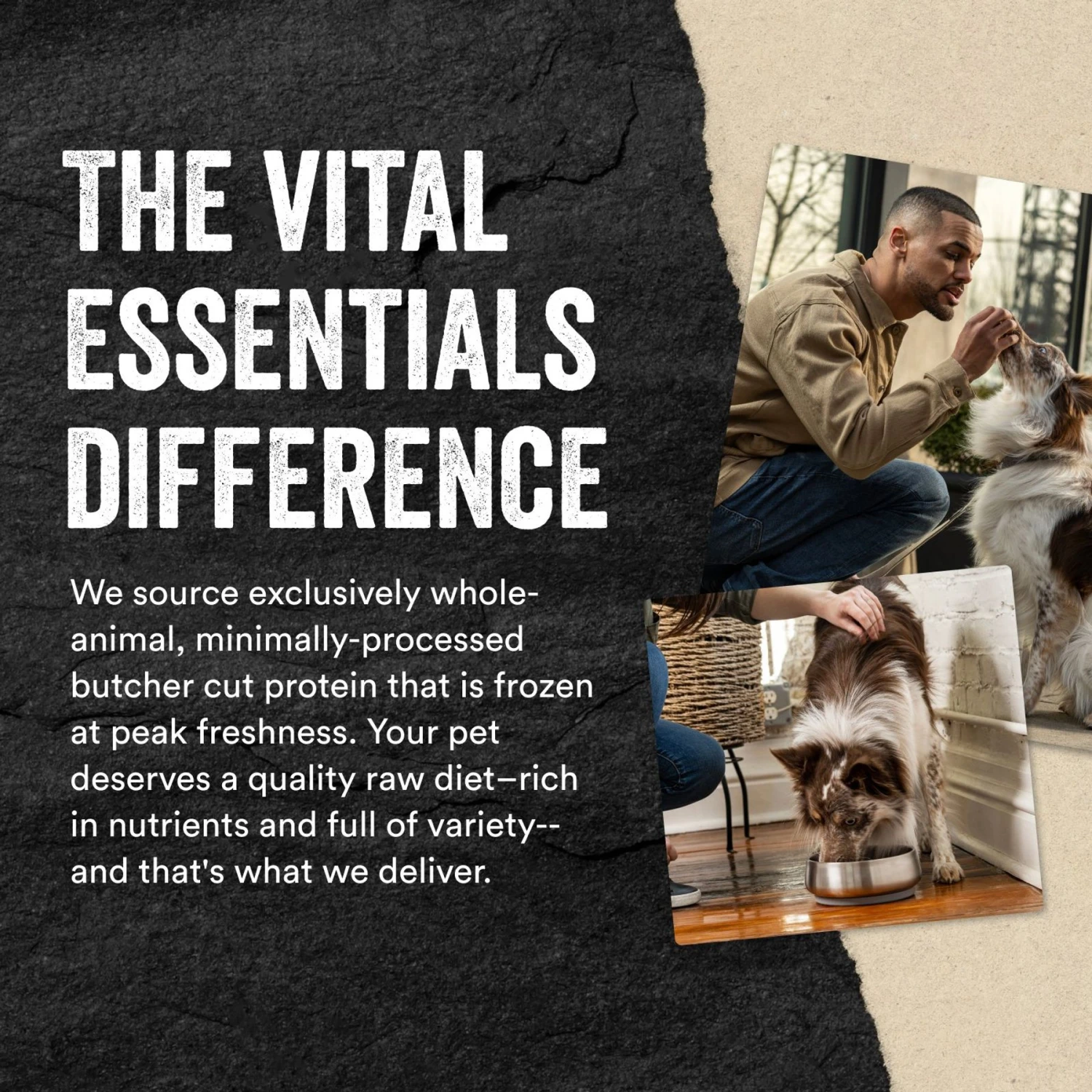 Vital Essentials Protein Mix-In Chicken Recipe Mini Nibs Grain-Free Freeze-Dried Raw Dog Food Topper 6 Vital Essentials Protein Mix-In Chicken Recipe Mini Nibs Grain-Free Freeze-Dried Raw Dog Food Topper - Image 6