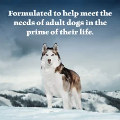 Blue Buffalo Wilderness Trout & Chicken Grill Grain-Free Canned Dog Food -Pawsphoria Sales Store 85004 PT3. AC SS1800 V1604367414