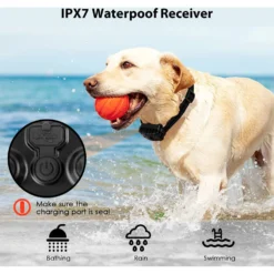 Luckypets 1640-ft Remote Range & Rechargeable With 3 Training Modes Dog Training Collar, Black -Pawsphoria Sales Store 853470 PT3. AC SS1800 V1687455024