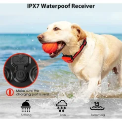 Luckypets IPX7 Waterproof Reveiver, Rechargable & 1640-ft Remote Range Dog Collar, Red 12 Luckypets IPX7 Waterproof Reveiver, Rechargable & 1640-ft Remote Range Dog Collar, Red -Pawsphoria Sales Store 853486 PT3. AC SS1800 V1687455022