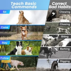 Luckypets 2600-ft Remote Range, Rechargeable & Waterproof Dog Collar, Black 16 Luckypets 2600-ft Remote Range, Rechargeable & Waterproof Dog Collar, Black -Pawsphoria Sales Store 853502 PT7. AC SS1800 V1687455514