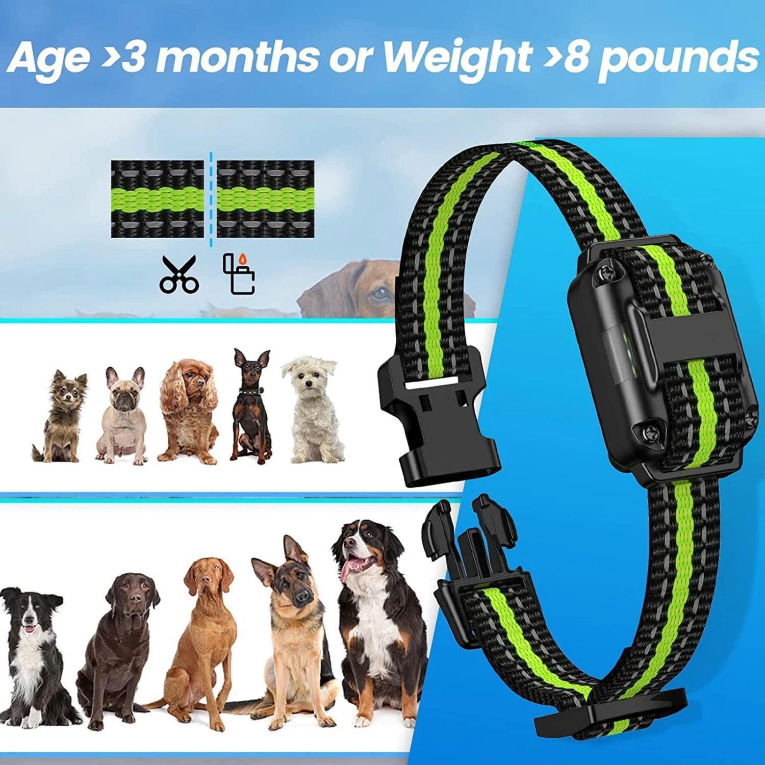 Luckypets 2600-ft Remote Range, Rechargeable & Waterproof Dog Collar, Black 9 Luckypets 2600-ft Remote Range, Rechargeable & Waterproof Dog Collar, Black - Image 9