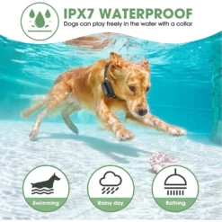 Luckypets Rechargeable E-Collar IPX7 Waterproof With 3 Training Modes Dog Collar, Black -Pawsphoria Sales Store 853534 PT5. AC SS1800 V1687455022