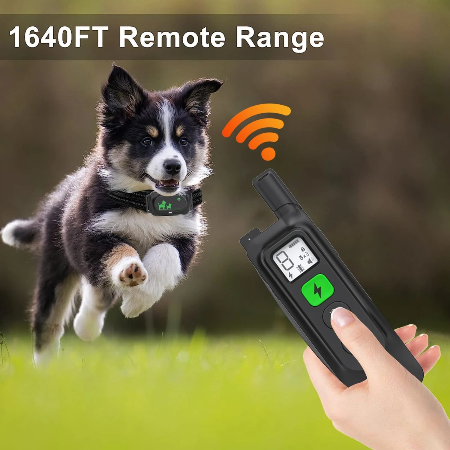 Luckypets Rechargeable Shock Collar With Beep, Vibration & Shock Modes Dog Training Collar, Black 5 Luckypets Rechargeable Shock Collar With Beep, Vibration & Shock Modes Dog Training Collar, Black - Image 5