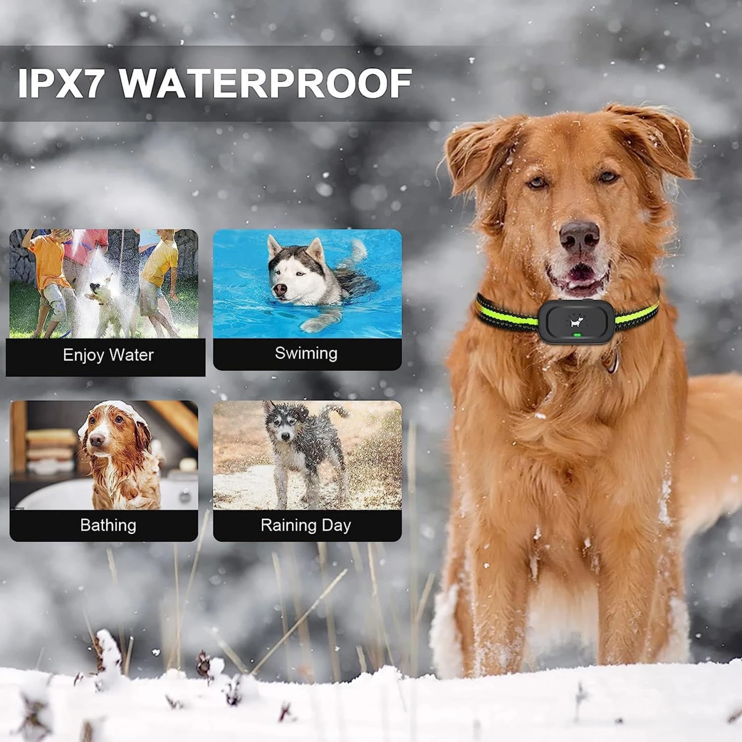 Luckypets IPX7 Waterproof Rechargeable Dog Electric Training Collar, Black, 2 Count 5 Luckypets IPX7 Waterproof Rechargeable Dog Electric Training Collar, Black, 2 Count - Image 5