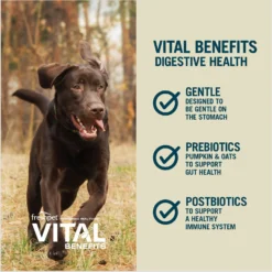 Freshpet Vital Benefits Digestive Health Fresh Dog Food 11 Freshpet Vital Benefits Digestive Health Fresh Dog Food -Pawsphoria Sales Store 853750 PT4. AC SS1800 V1683651877