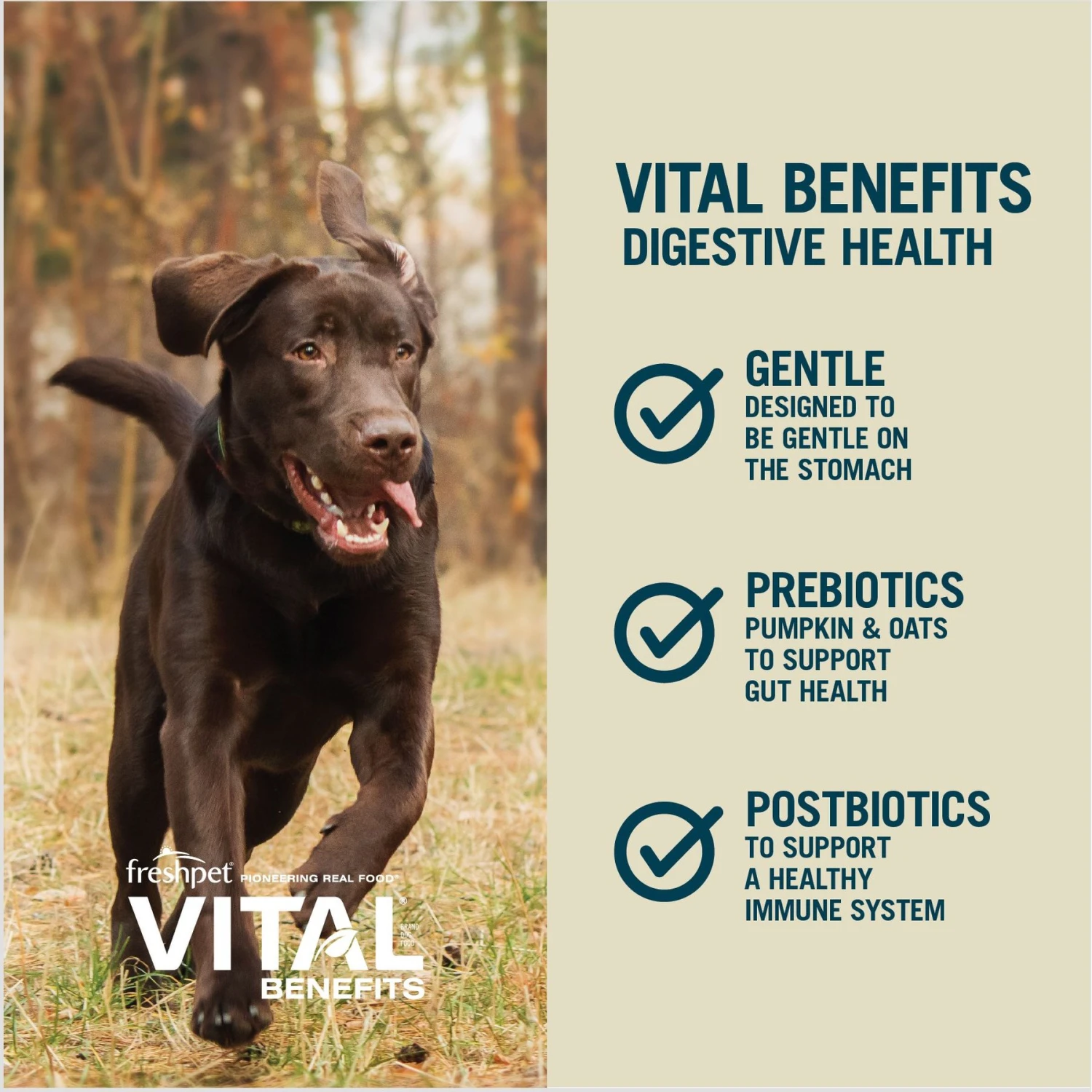 Freshpet Vital Benefits Digestive Health Fresh Dog Food 5 Freshpet Vital Benefits Digestive Health Fresh Dog Food - Image 5