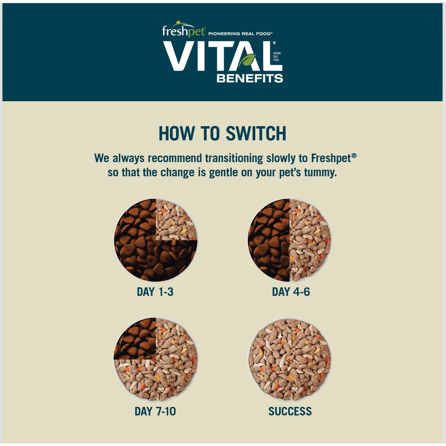 Freshpet Vital Benefits Digestive Health Fresh Dog Food 6 Freshpet Vital Benefits Digestive Health Fresh Dog Food - Image 6