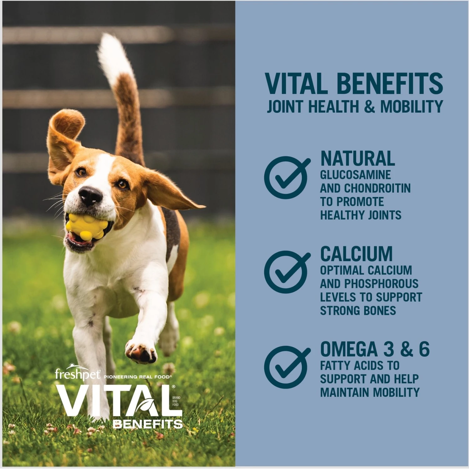 Freshpet Vital Benefits Joint Health & Mobility Fresh Dog Food 5 Freshpet Vital Benefits Joint Health & Mobility Fresh Dog Food - Image 5