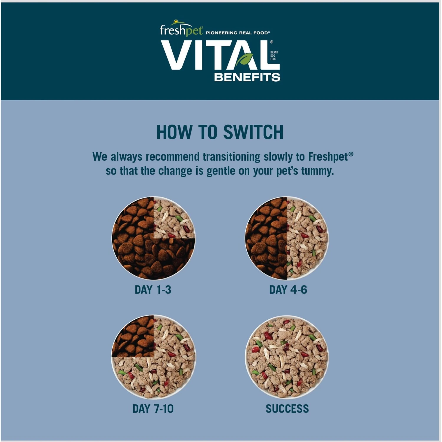 Freshpet Vital Benefits Joint Health & Mobility Fresh Dog Food 6 Freshpet Vital Benefits Joint Health & Mobility Fresh Dog Food - Image 6