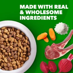 Iams Proactive Health Minichunks Small Kibble With Lamb & Rice Adult Dry Dog Food & Pedigree Chopped Ground Dinner Variety Pack Adult Wet Dog Food -Pawsphoria Sales Store 854534 PT7. AC SS1800 V1683809983