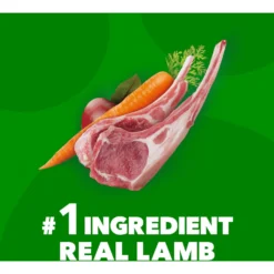Iams Proactive Health Minichunks Small Kibble With Lamb & Rice Adult Dry Dog Food & Pedigree Chopped Ground Dinner Variety Pack Adult Wet Dog Food -Pawsphoria Sales Store 854534 PT8. AC SS1800 V1683811283