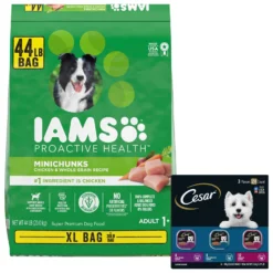Iams Proactive Health MiniChunks Small Kibble Adult Chicken & Whole Grain Dry Dog Food & Cesar Filets In Gravy Beef Flavors Variety Pack Small Breed Adult Wet Dog Food