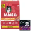 Iams Proactive Health Minichunks Small Kibble With Lamb & Rice Adult Dry Dog Food & Cesar Classic Loaf In Sauce Beef Recipe, Filet Mignon, Grilled Chicken & Porterhouse Steak Flavors Variety Pack Grain-Free Small Breed Adult Wet Dog Food Trays