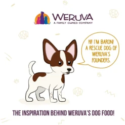 Weruva Hot Dayam! With Luscious Lamb In Gelee Grain-Free Canned Dog Food 17 Weruva Hot Dayam! With Luscious Lamb In Gelee Grain-Free Canned Dog Food -Pawsphoria Sales Store 85489 PT8. AC SS1800 V1696009036