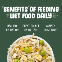 Weruva Green Eggs & Chicken With Chicken, Egg, & Greens In Gravy Grain-Free Canned Dog Food 13 Weruva Green Eggs & Chicken With Chicken, Egg, & Greens In Gravy Grain-Free Canned Dog Food -Pawsphoria Sales Store 85495 PT4. AC SS1800 V1696008972