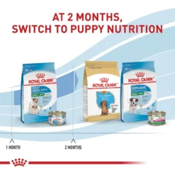 Royal Canin Size Health Nutrition Small Starter Mother & Babydog Dry Dog Food -Pawsphoria Sales Store 855846 PT6. AC SS1800 V1697216693