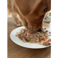 Caru Real Chicken Stew Grain-Free Wet Dog Food -Pawsphoria Sales Store 85710 PT3. AC SS1800 V1570024321