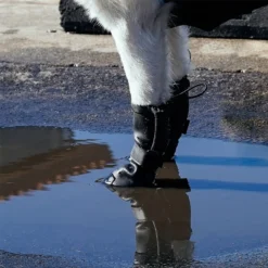 Canada Pooch Waterproof Dog Rain Boots, Black -Pawsphoria Sales Store 857414 PT4. AC SS1800 V1685724149