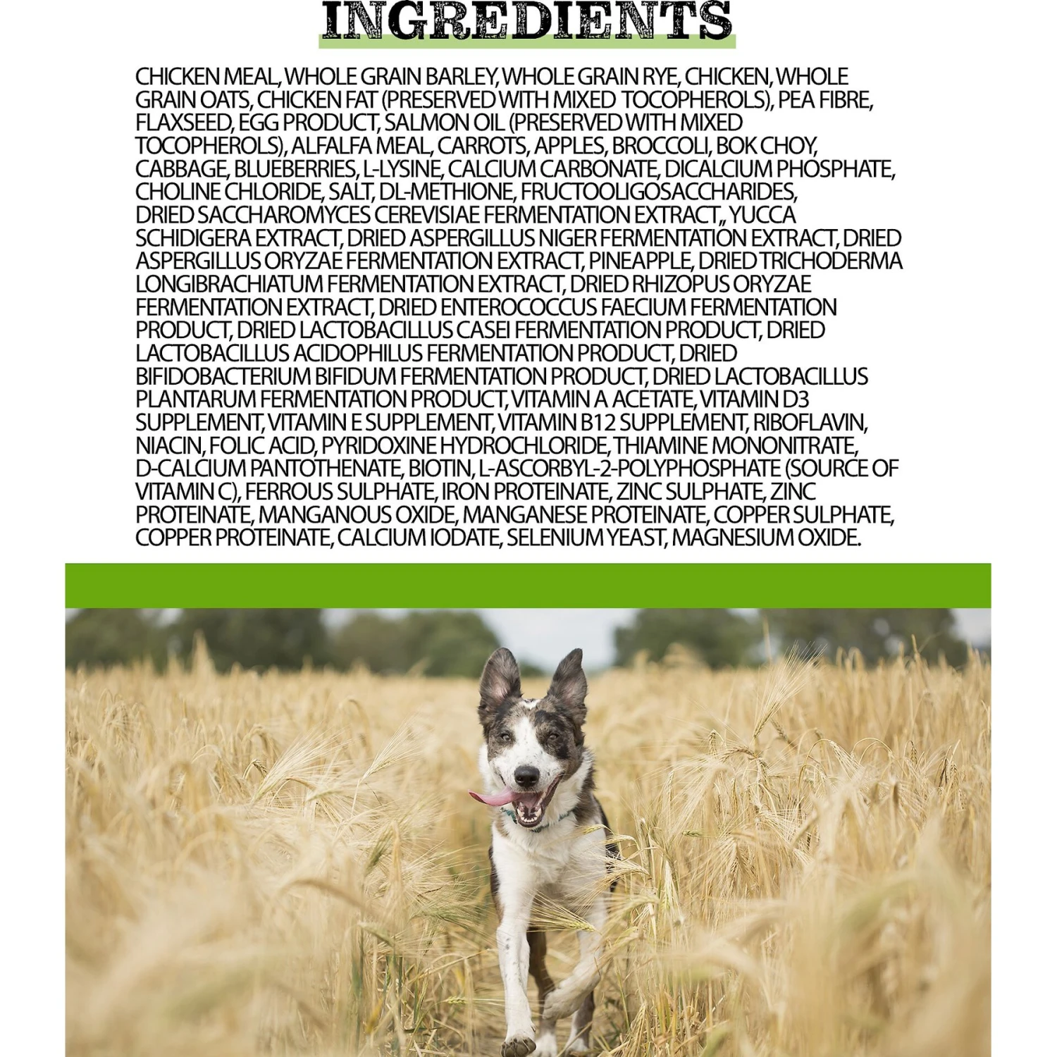 Horizon Complete All Life Stages Dry Dog Food 2 Horizon Complete All Life Stages Dry Dog Food - Image 2