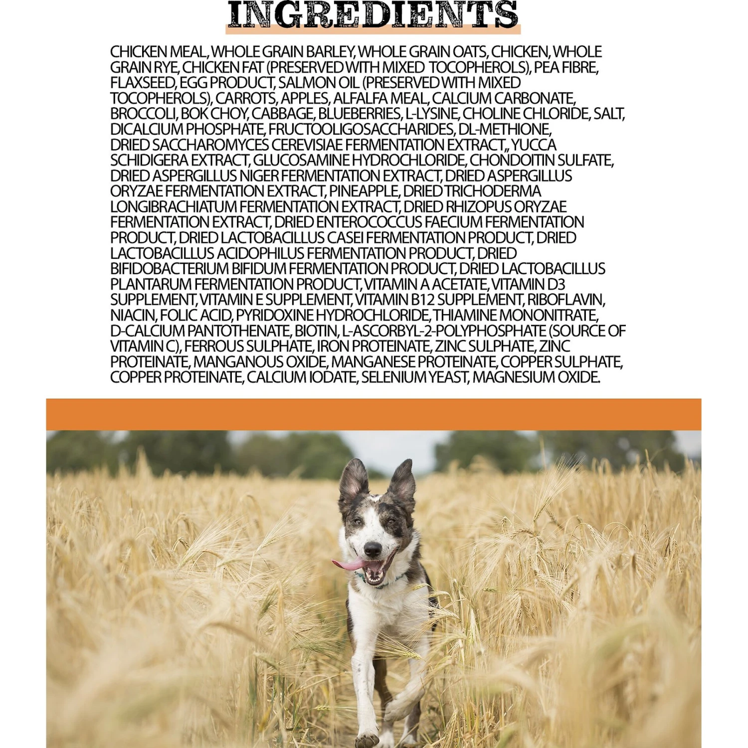 Horizon Complete Large Breed Adult Dry Dog Food 2 Horizon Complete Large Breed Adult Dry Dog Food - Image 2