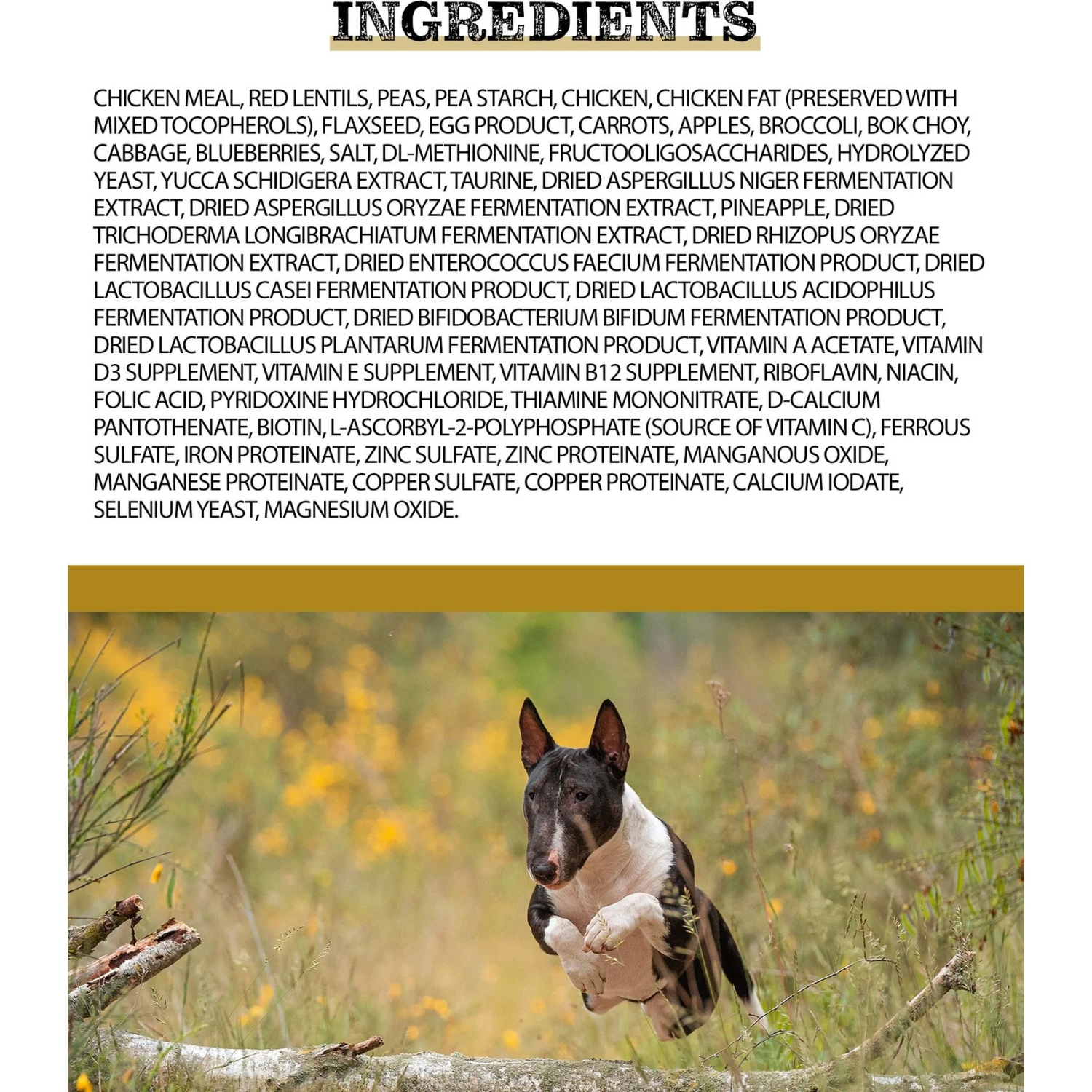 Horizon Pulsar Grain-Free Chicken Recipe Dry Dog Food 3 Horizon Pulsar Grain-Free Chicken Recipe Dry Dog Food - Image 3
