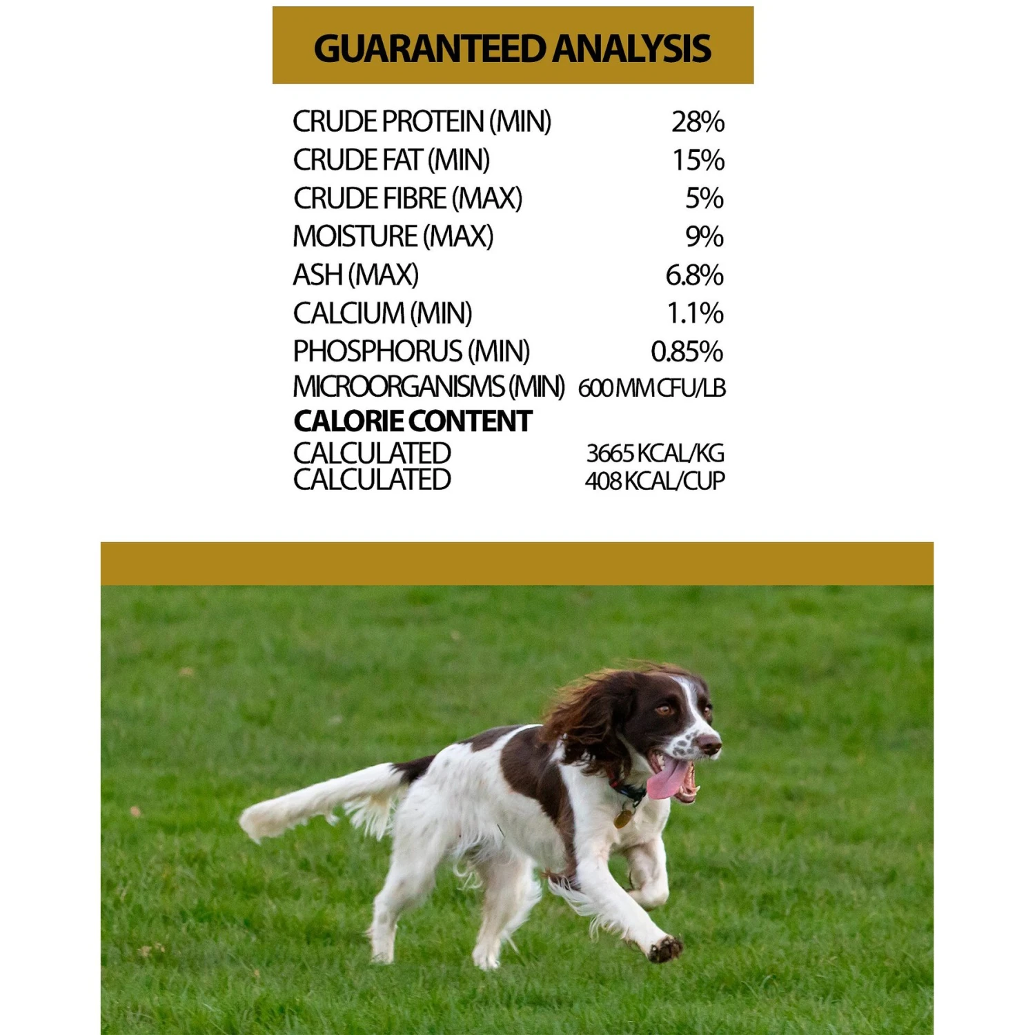 Horizon Pulsar Grain-Free Chicken Recipe Dry Dog Food 4 Horizon Pulsar Grain-Free Chicken Recipe Dry Dog Food - Image 4