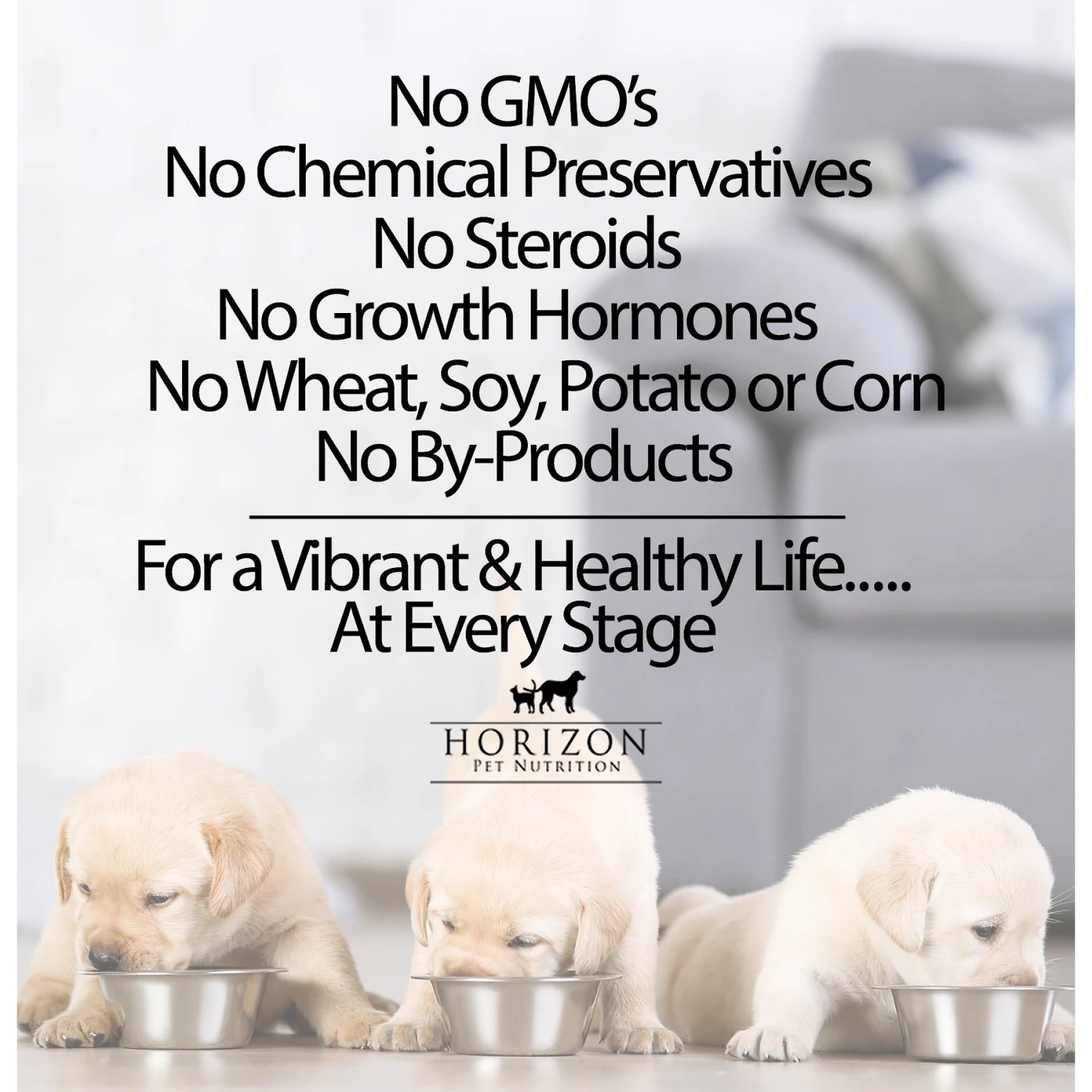 Horizon Pulsar Grain-Free Chicken Recipe Dry Dog Food 6 Horizon Pulsar Grain-Free Chicken Recipe Dry Dog Food - Image 6