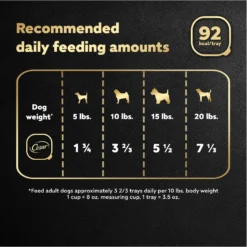 Cesar Home Delights Beef Stew Grain-Free Small Breed Adult Wet Dog Food Trays -Pawsphoria Sales Store 86035 PT6. AC SS1800 V1695676401