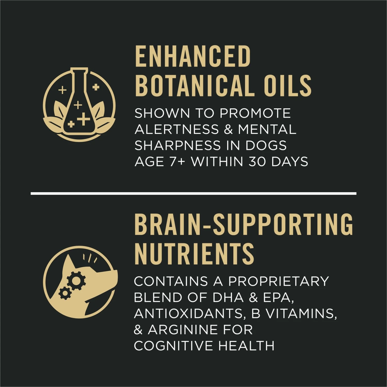 Purina Pro Plan Bright Mind Adult 7+ Chicken & Rice Formula Dry Dog Food 3 Purina Pro Plan Bright Mind Adult 7+ Chicken & Rice Formula Dry Dog Food - Image 3