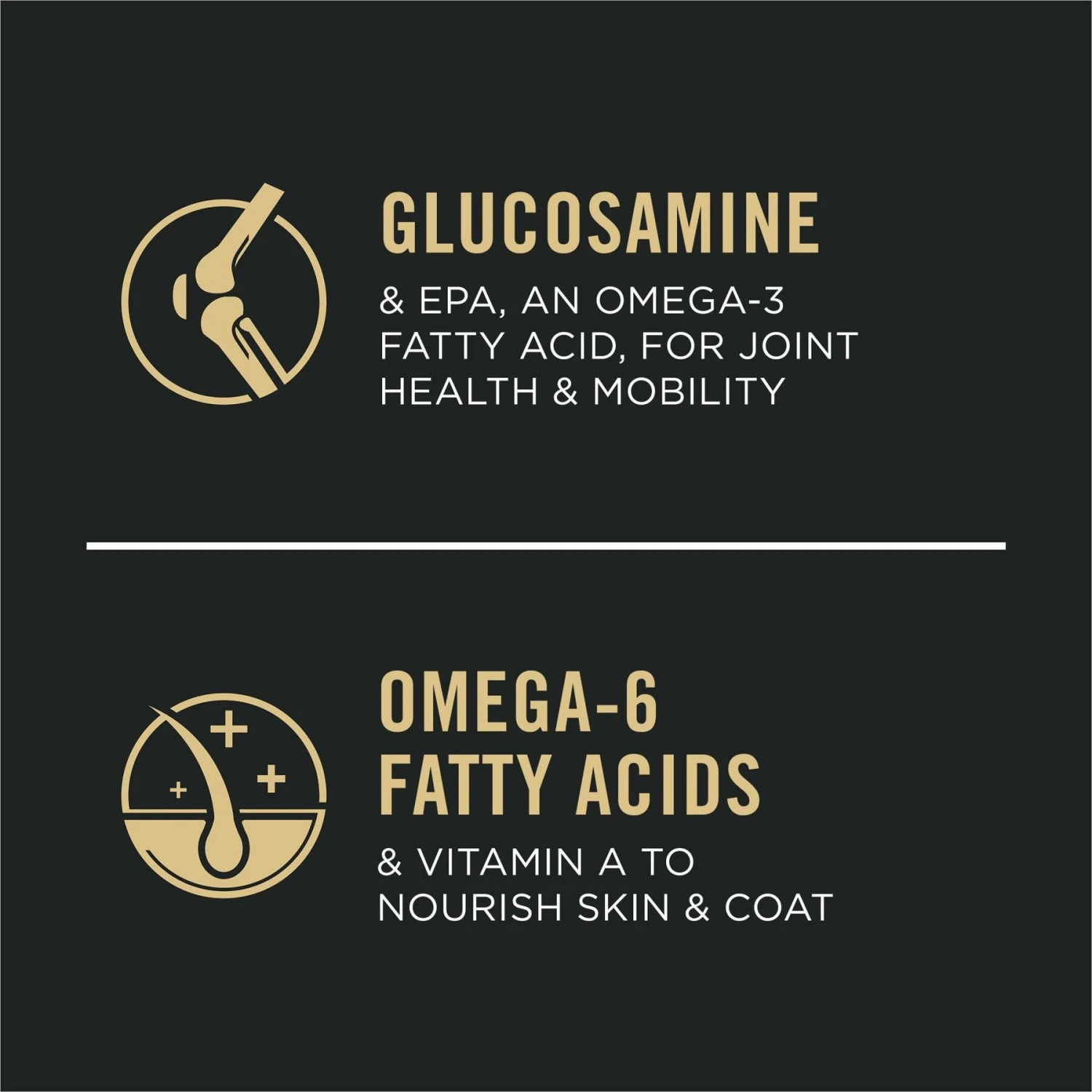 Purina Pro Plan Bright Mind Adult 7+ Chicken & Rice Formula Dry Dog Food 5 Purina Pro Plan Bright Mind Adult 7+ Chicken & Rice Formula Dry Dog Food - Image 5