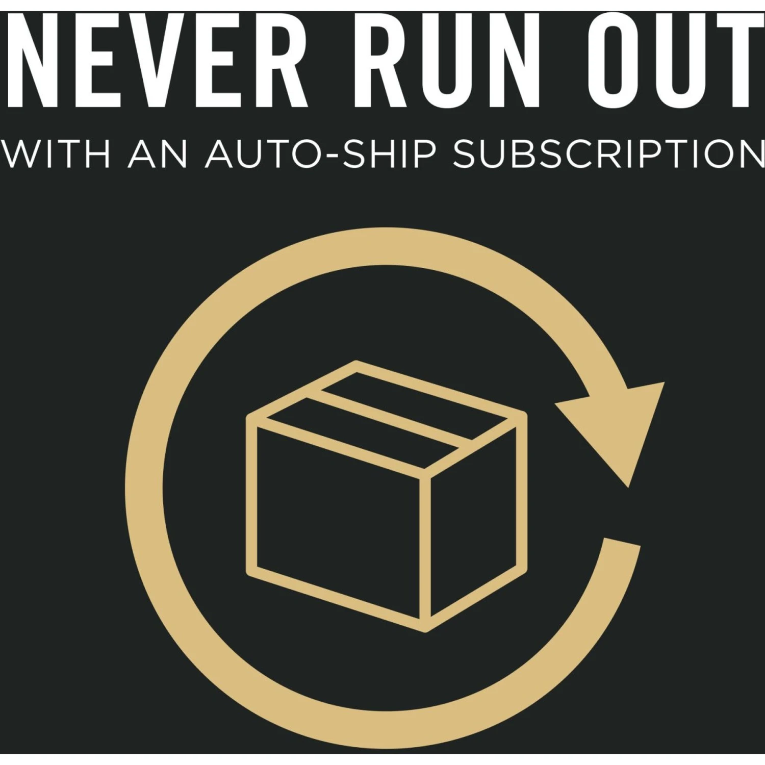 Purina Pro Plan Bright Mind Adult 7+ Chicken & Rice Formula Dry Dog Food 8 Purina Pro Plan Bright Mind Adult 7+ Chicken & Rice Formula Dry Dog Food - Image 8