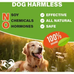 Beloved Pets Flea & Tick Prevention Chewable Pills For Dogs, 10-oz Pack -Pawsphoria Sales Store 862558 PT5. AC SS1800 V1685472690