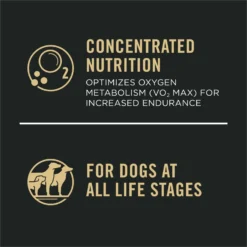 Purina Pro Plan Sport Performance All Life Stages High-Protein 30/20 Salmon & Rice Formula Dry Dog Food -Pawsphoria Sales Store 86279 PT4. AC SS1800 V1649229407
