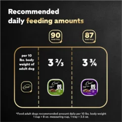 Cesar Classic Loaf In Sauce Top Sirloin & Grilled Chicken Flavors Variety Pack Grain-Free Small Breed Adult Wet Dog Food Trays -Pawsphoria Sales Store 86452 PT6. AC SS1800 V1695752284