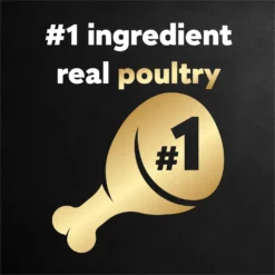 Cesar Poultry Variety Pack With Real Chicken, Turkey & Duck Grain-Free Small Breed Adult Wet Dog Food Trays 12 Cesar Poultry Variety Pack With Real Chicken, Turkey & Duck Grain-Free Small Breed Adult Wet Dog Food Trays -Pawsphoria Sales Store 86458 PT3. AC SS1800 V1695662246