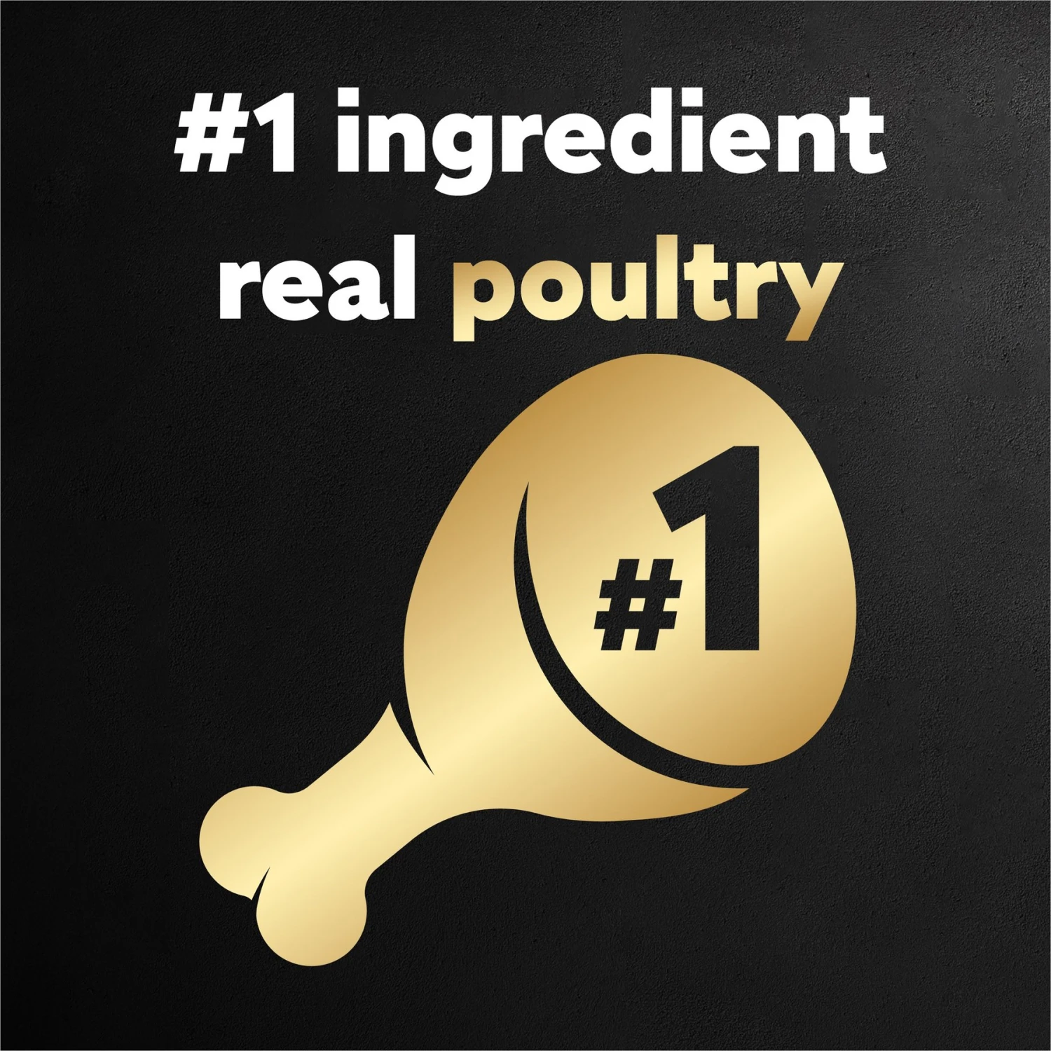 Cesar Poultry Variety Pack With Real Chicken, Turkey & Duck Grain-Free Small Breed Adult Wet Dog Food Trays 4 Cesar Poultry Variety Pack With Real Chicken, Turkey & Duck Grain-Free Small Breed Adult Wet Dog Food Trays - Image 4