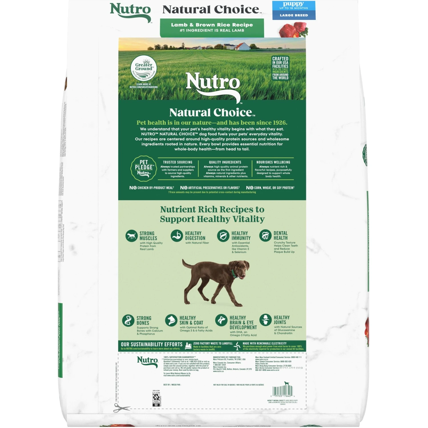 Nutro Natural Choice Large Breed Puppy Lamb & Brown Rice Recipe Dry Dog Food 3 Nutro Natural Choice Large Breed Puppy Lamb & Brown Rice Recipe Dry Dog Food - Image 3
