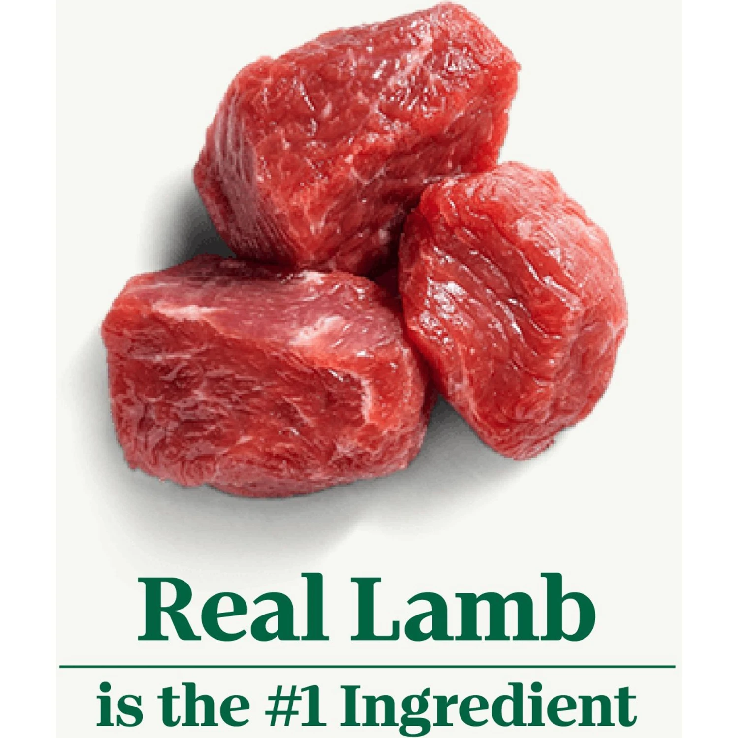 Nutro Natural Choice Large Breed Puppy Lamb & Brown Rice Recipe Dry Dog Food 8 Nutro Natural Choice Large Breed Puppy Lamb & Brown Rice Recipe Dry Dog Food - Image 8