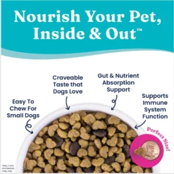 Solid Gold NutrientBoost Mighty Mini Gut Health Small & Toy Breed Grain-Free Chicken, Chickpea & Pumpkin Dry Dog Food -Pawsphoria Sales Store 870430 PT4. AC SS1800 V1695999562