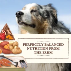 Whole Earth Farms Grain-Free Salmon & Whitefish Dry Dog Food -Pawsphoria Sales Store 87371 PT2. AC SS1800 V1647900990