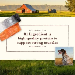 Whole Earth Farms Grain-Free Salmon & Whitefish Dry Dog Food -Pawsphoria Sales Store 87371 PT3. AC SS1800 V1647907293