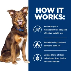 Hill's Prescription Diet Metabolic Weight Management Vegetable & Beef Stew Canned Dog Food 15 Hill's Prescription Diet Metabolic Weight Management Vegetable & Beef Stew Canned Dog Food -Pawsphoria Sales Store 87468 PT6. AC SS1800 V1521064463