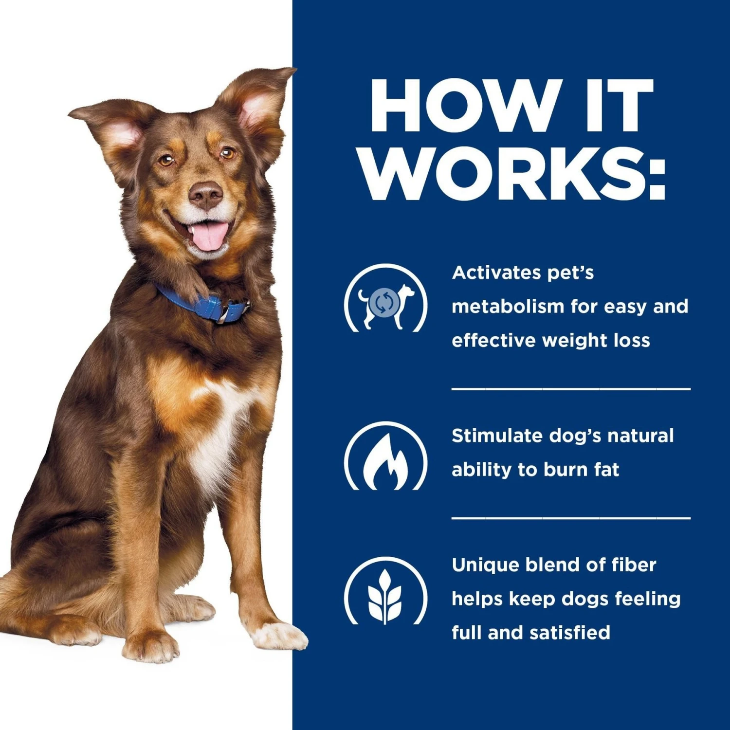 Hill's Prescription Diet Metabolic Weight Management Vegetable & Beef Stew Canned Dog Food 7 Hill's Prescription Diet Metabolic Weight Management Vegetable & Beef Stew Canned Dog Food - Image 7