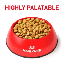 Royal Canin Veterinary Diet Adult Ultamino Dry Dog Food -Pawsphoria Sales Store 87852 PT2. AC SS1800 V1693317636