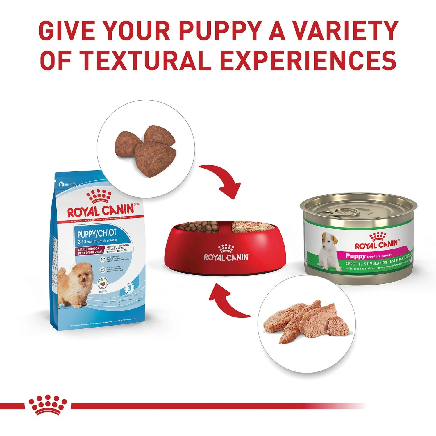 Royal Canin Size Health Nutrition Small Indoor Puppy Dry Dog Food 6 Royal Canin Size Health Nutrition Small Indoor Puppy Dry Dog Food - Image 6