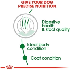 Royal Canin Size Health Nutrition Small Indoor Adult Dry Dog Food -Pawsphoria Sales Store 88066 PT3. AC SS1800 V1592564153