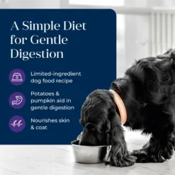 Blue Buffalo Basics Skin & Stomach Care Grain-Free Turkey & Potato Senior Canned Dog Food 11 Blue Buffalo Basics Skin & Stomach Care Grain-Free Turkey & Potato Senior Canned Dog Food -Pawsphoria Sales Store 88193 PT2. AC SS1800 V1646251343