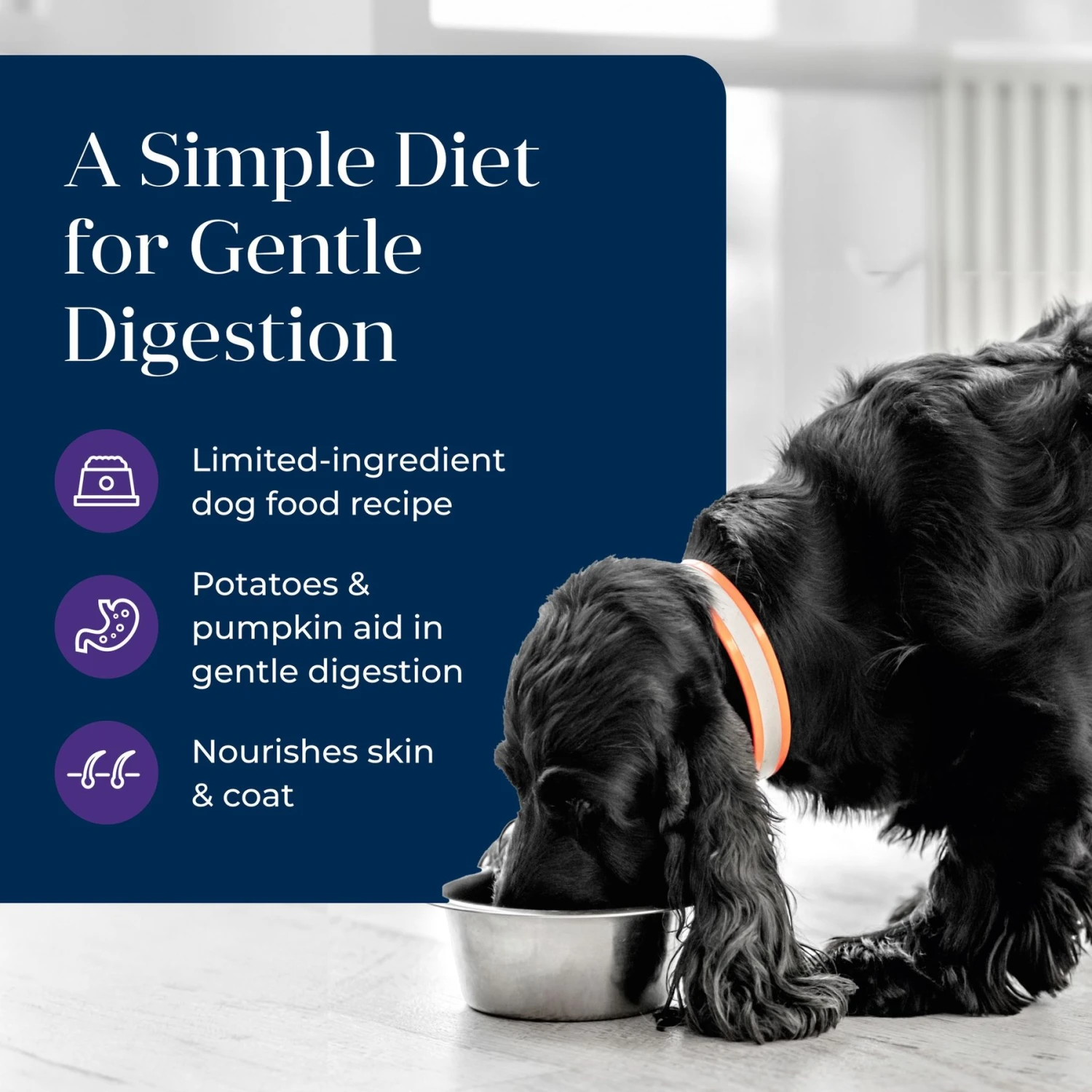 Blue Buffalo Basics Skin & Stomach Care Grain-Free Turkey & Potato Senior Canned Dog Food 3 Blue Buffalo Basics Skin & Stomach Care Grain-Free Turkey & Potato Senior Canned Dog Food - Image 3