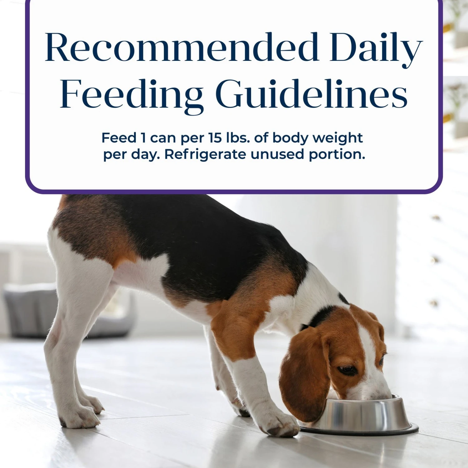 Blue Buffalo Basics Skin & Stomach Care Grain-Free Turkey & Potato Senior Canned Dog Food 9 Blue Buffalo Basics Skin & Stomach Care Grain-Free Turkey & Potato Senior Canned Dog Food - Image 9